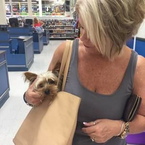 Meet your Posher, Kara